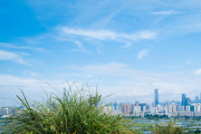 사람·동물·식물이 함께 사는 도시, 서울