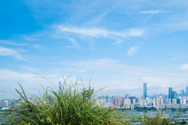 사람·동물·식물이 함께 사는 도시, 서울