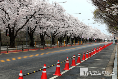 ‘여의도 봄꽃축제’ 3일부터 열려...1일 부터 차량 통제