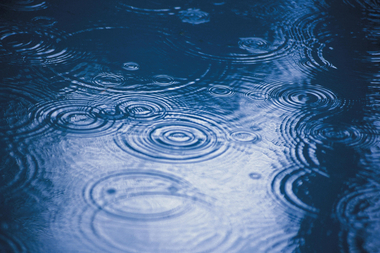 4월 첫날도 봄비...퇴근길 미끄럼·짧은 가시거리 주의