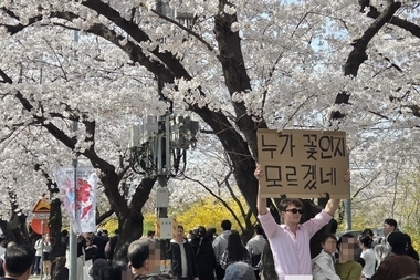 벚꽃 화사한 여의도 거리···"누가 꽃인지 모르겠네"