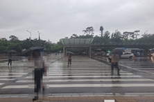 오늘·내일 전국 많은 봄비...서울 등 수도권 20~60mm 예상