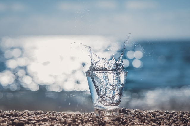 댐도 정수장도 "물관리 시설에 들어온 AI·로봇·디지털트윈"