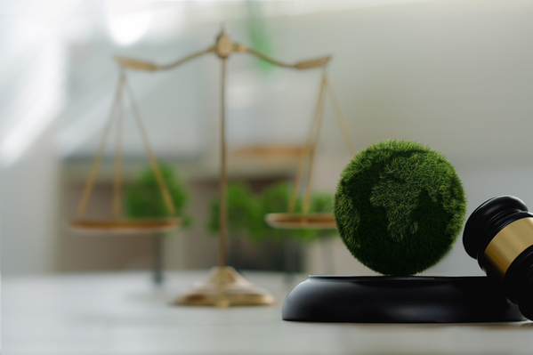 [기획] 한국 기업 덮친 ‘IP 전쟁’...기술 경쟁 넘어 생존 전략의 시대