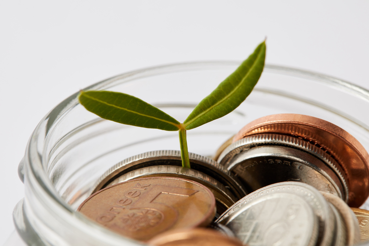 농식품 모태펀드의 드라이 파우더와 캐피탈 콜 - 뉴스 썸네일 이미지